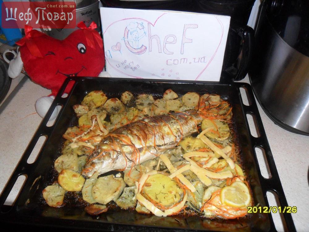 Я люблю Chef.com.ua, а рыбка исполнит желание для тебя