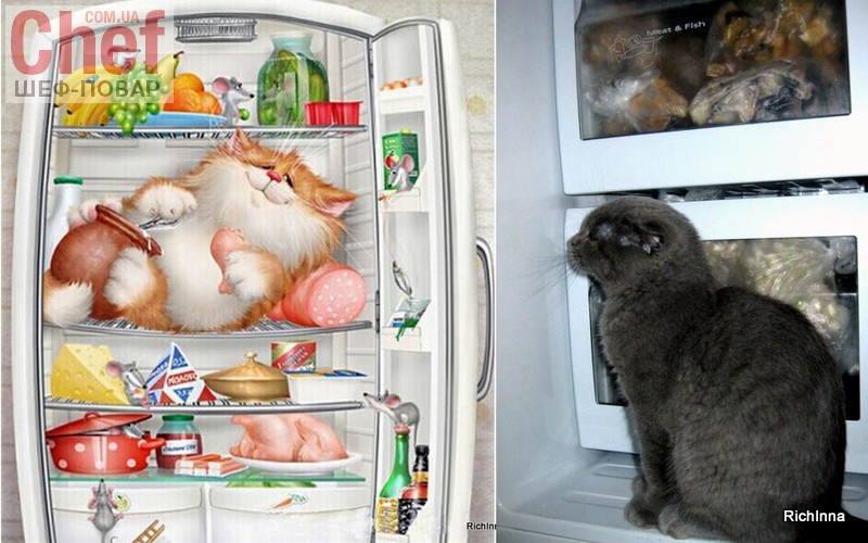 Прибирання на кухні: Холодильник