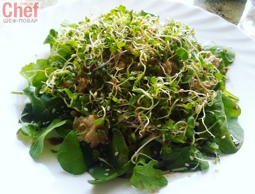Салат з проростками маша і мікрозеленню